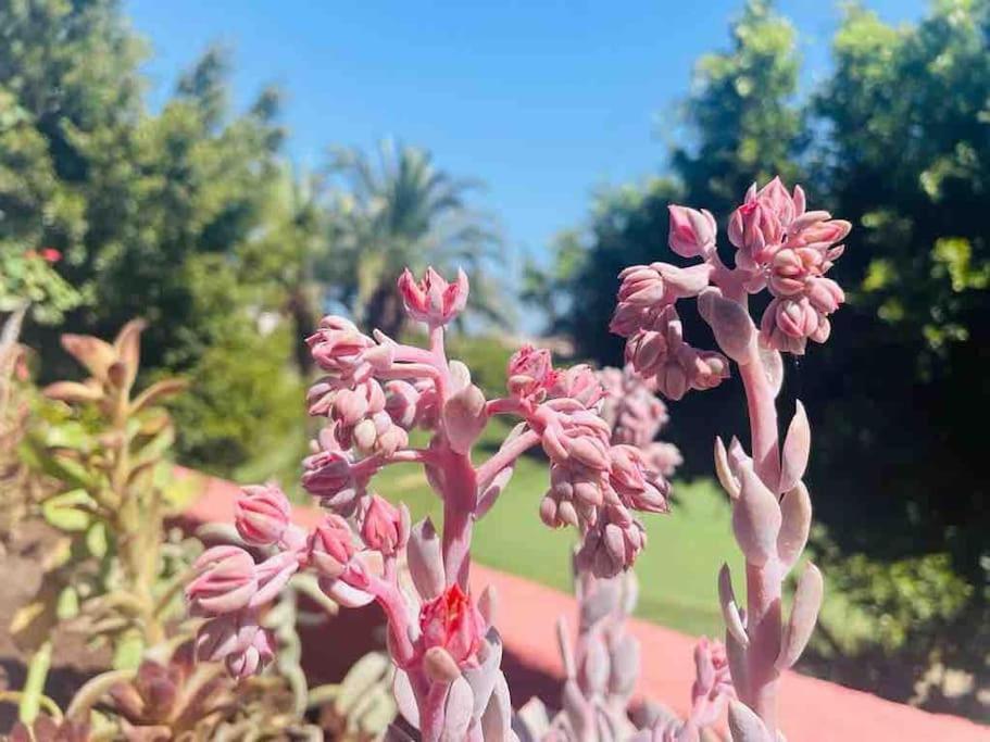 Casa De 3 Plantas, Con Jardin Y Vistas Al Golf Holiday home Benalmadena