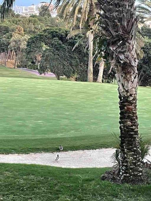 Casa De 3 Plantas, Con Jardin Y Vistas Al Golf
