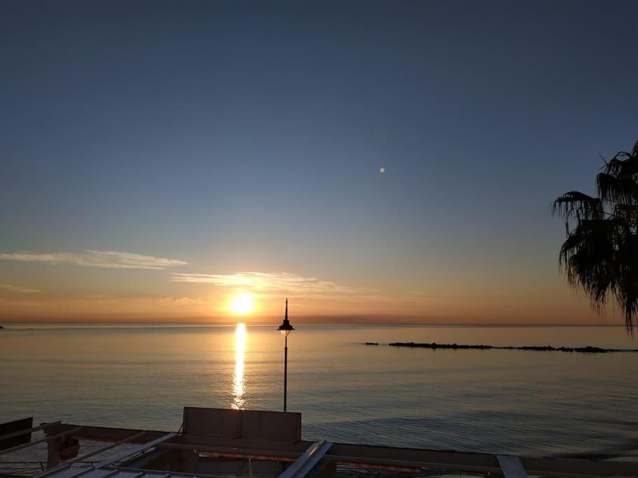 Nasa Palm 5 Beach Benalmadena