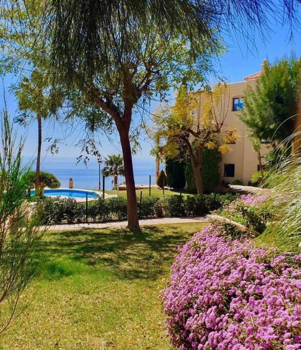 New Alquibla Gardens, Terrace & Pool Apartment *