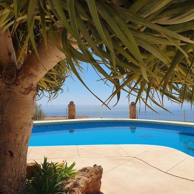 New Alquibla Gardens, Terrace & Pool Apartment *