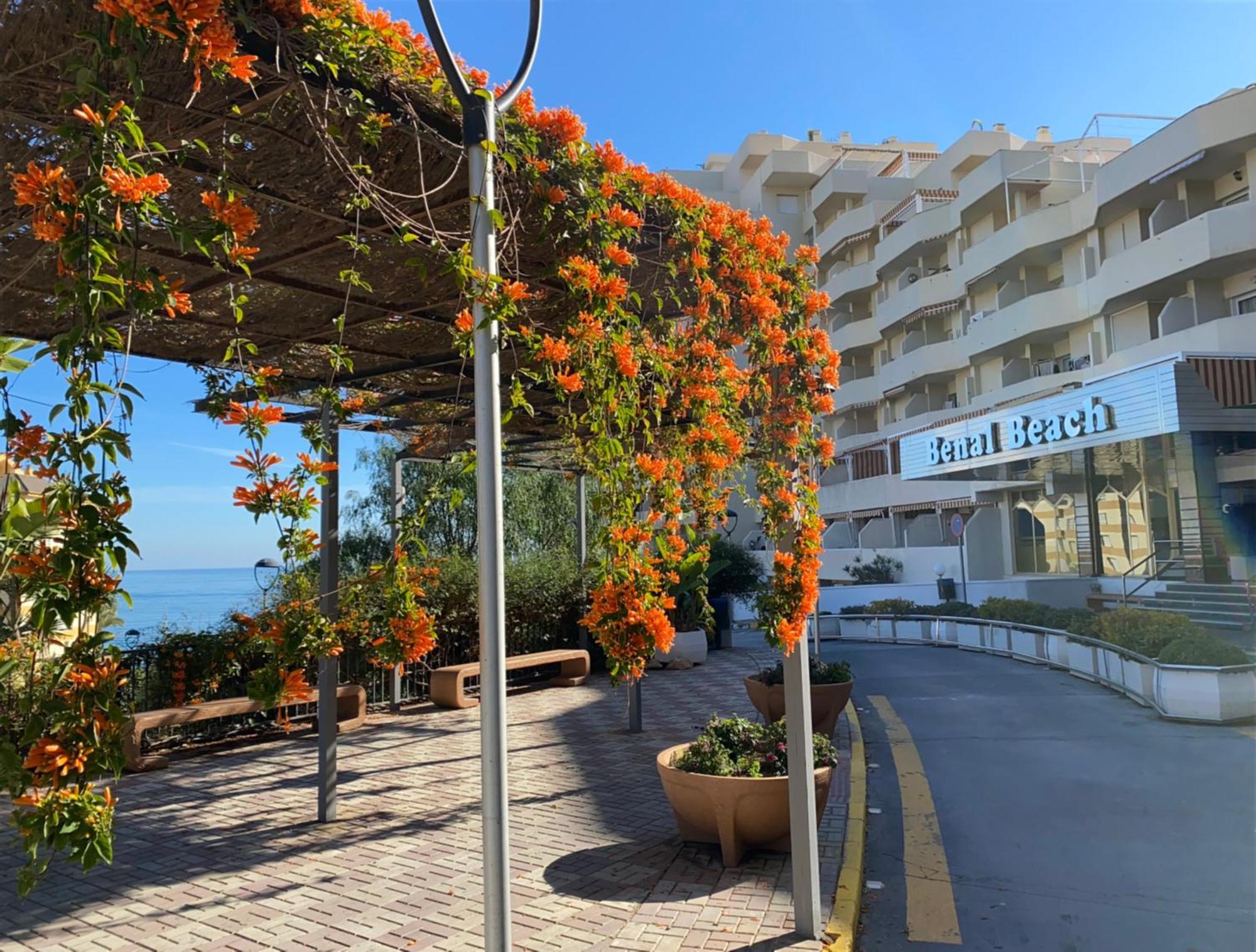 Apartment Benal Mountain View Benalmadena