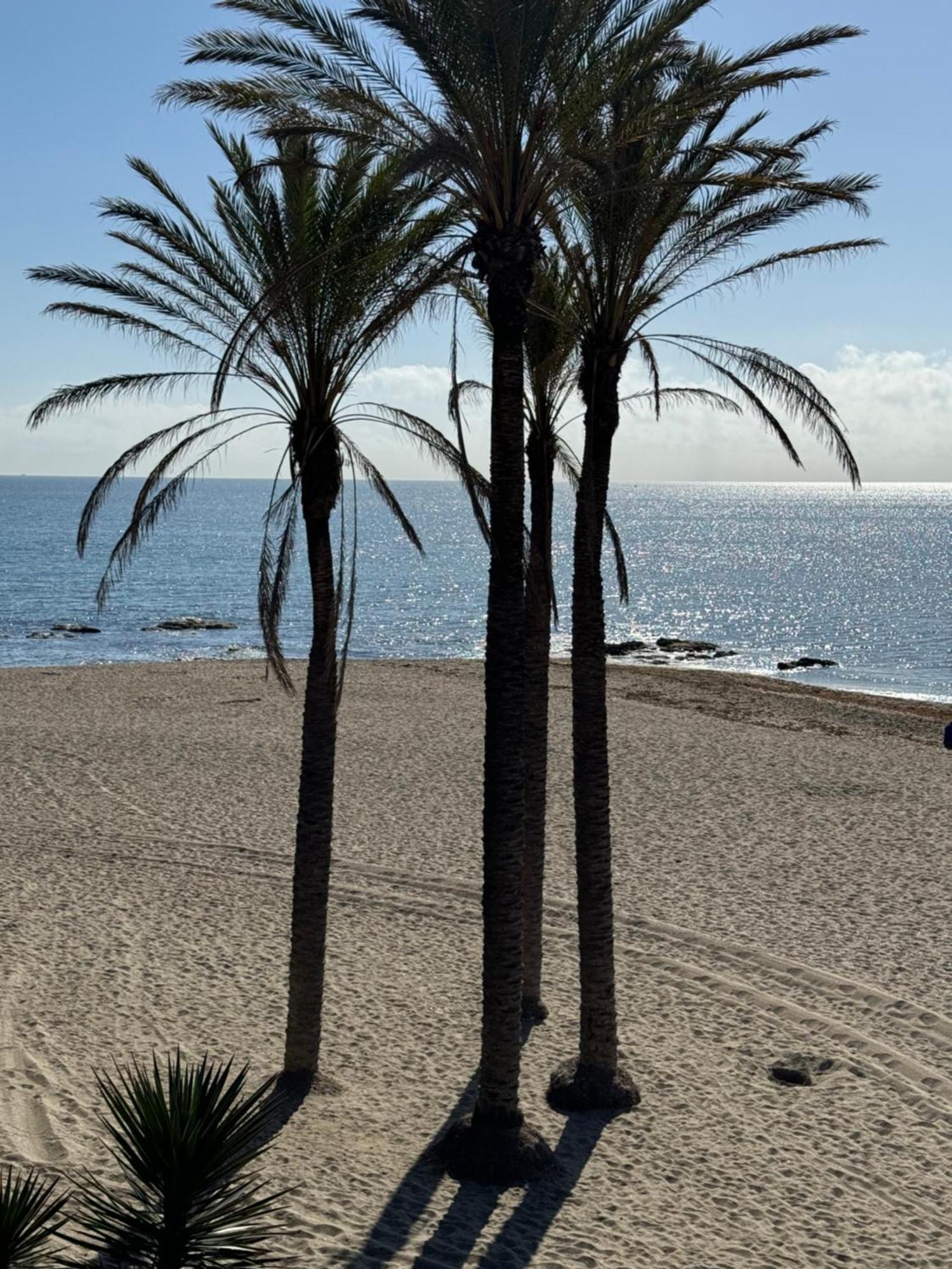 Brand New Apartment Benalmadena