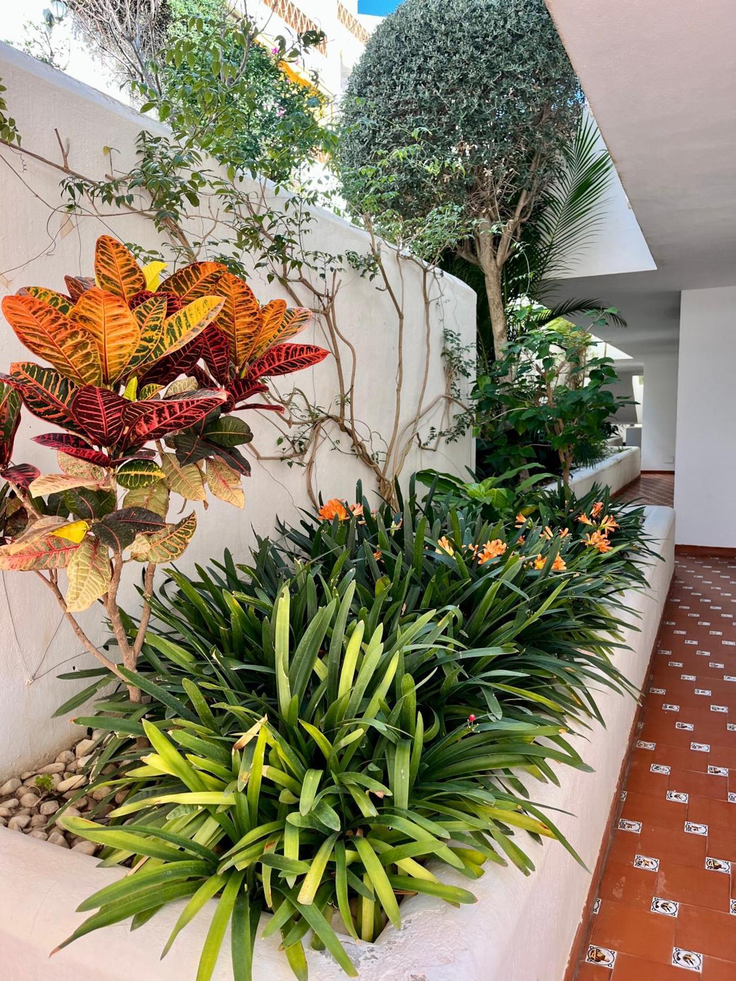 Apartment On The Heart Of Few Minutes From The *