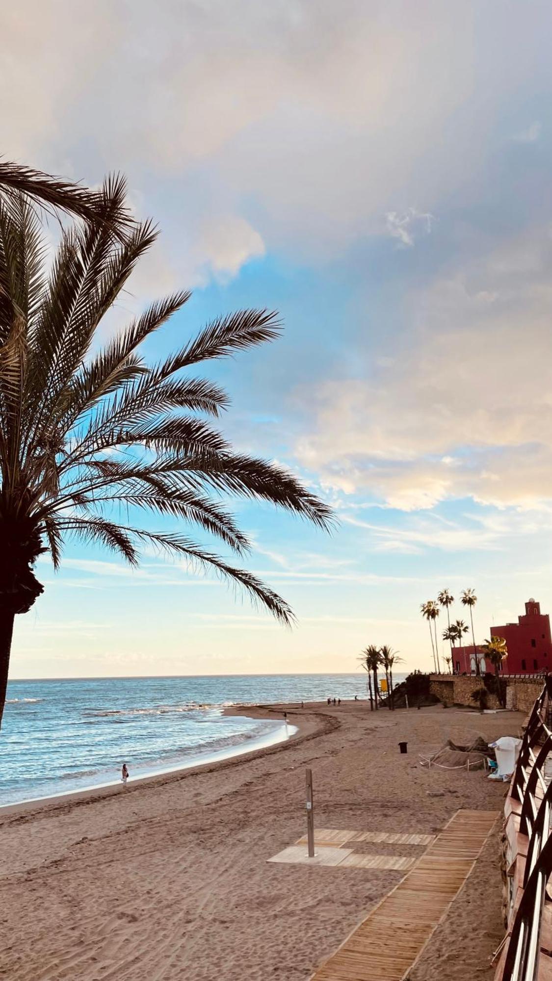 ,apartamento-estudio Primera Línea De Playa