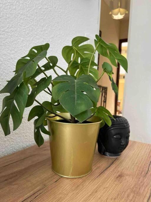 Rent4 Malaga Tamarindo Apartment *