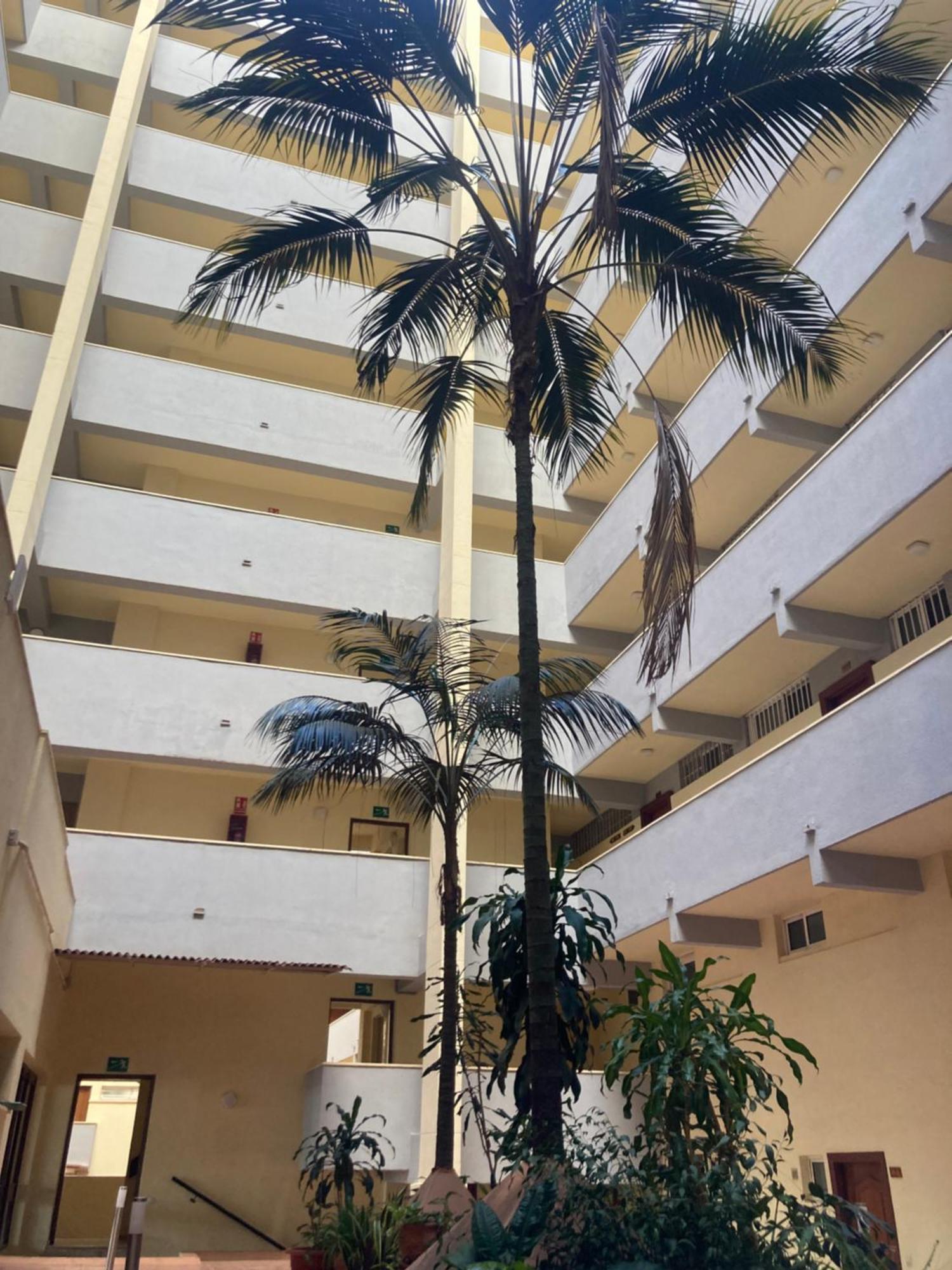 Puerto Marina Firts Line Apartment