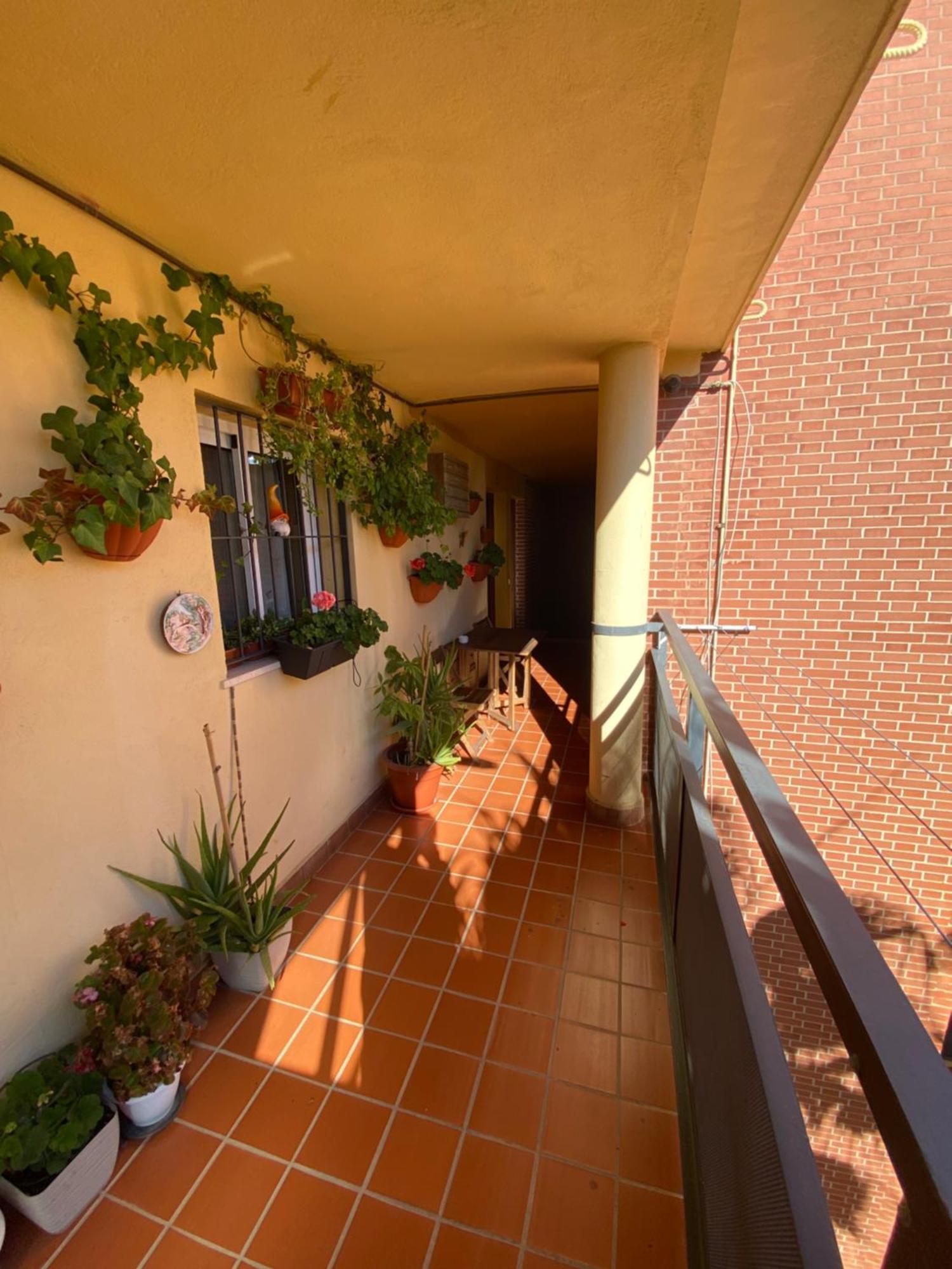 Apartamento Arroyo De La Miel Costa Del Sol * Benalmádena