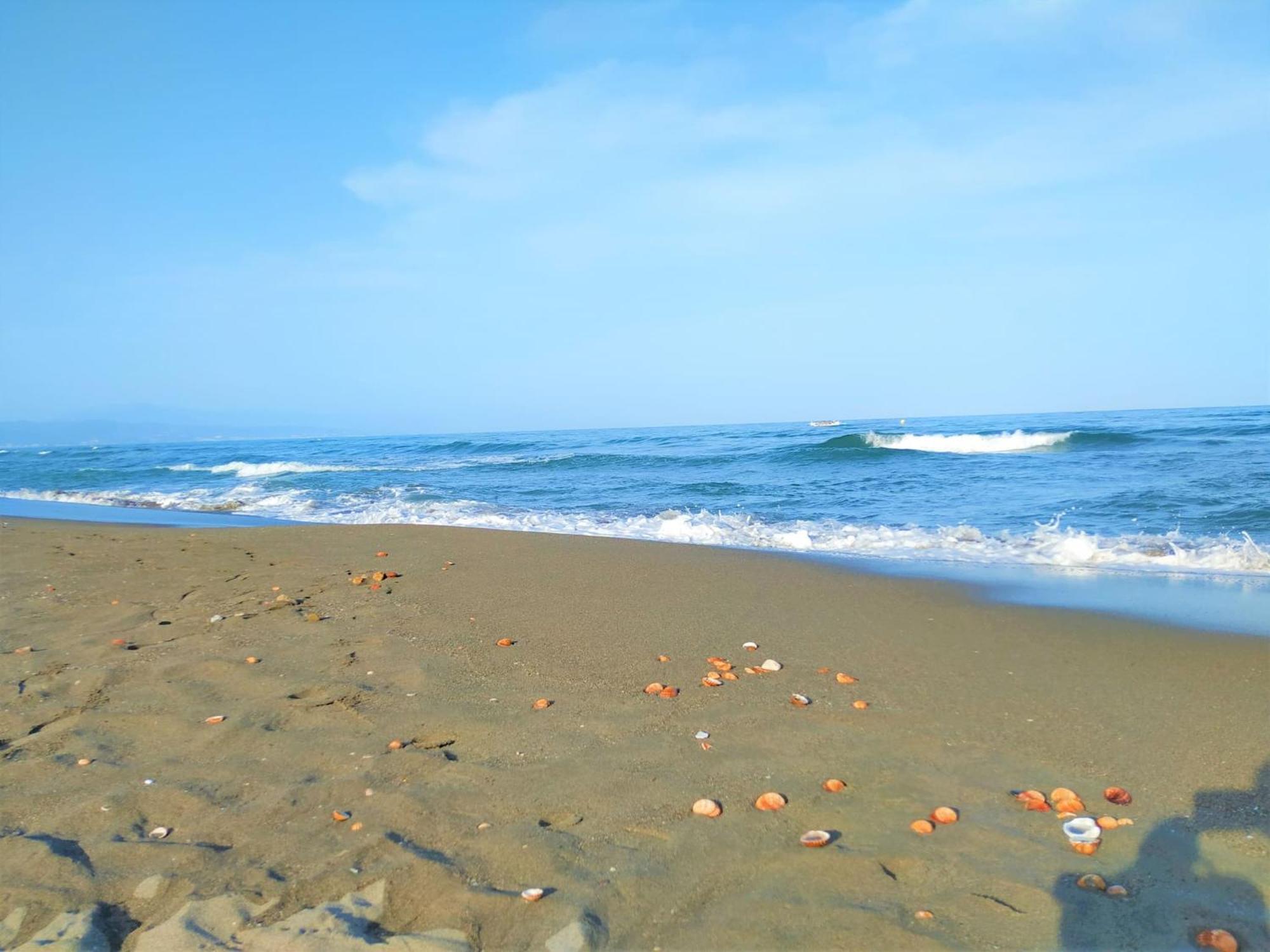 Lovely Sea And Garden View Benalbeach Apartment *
