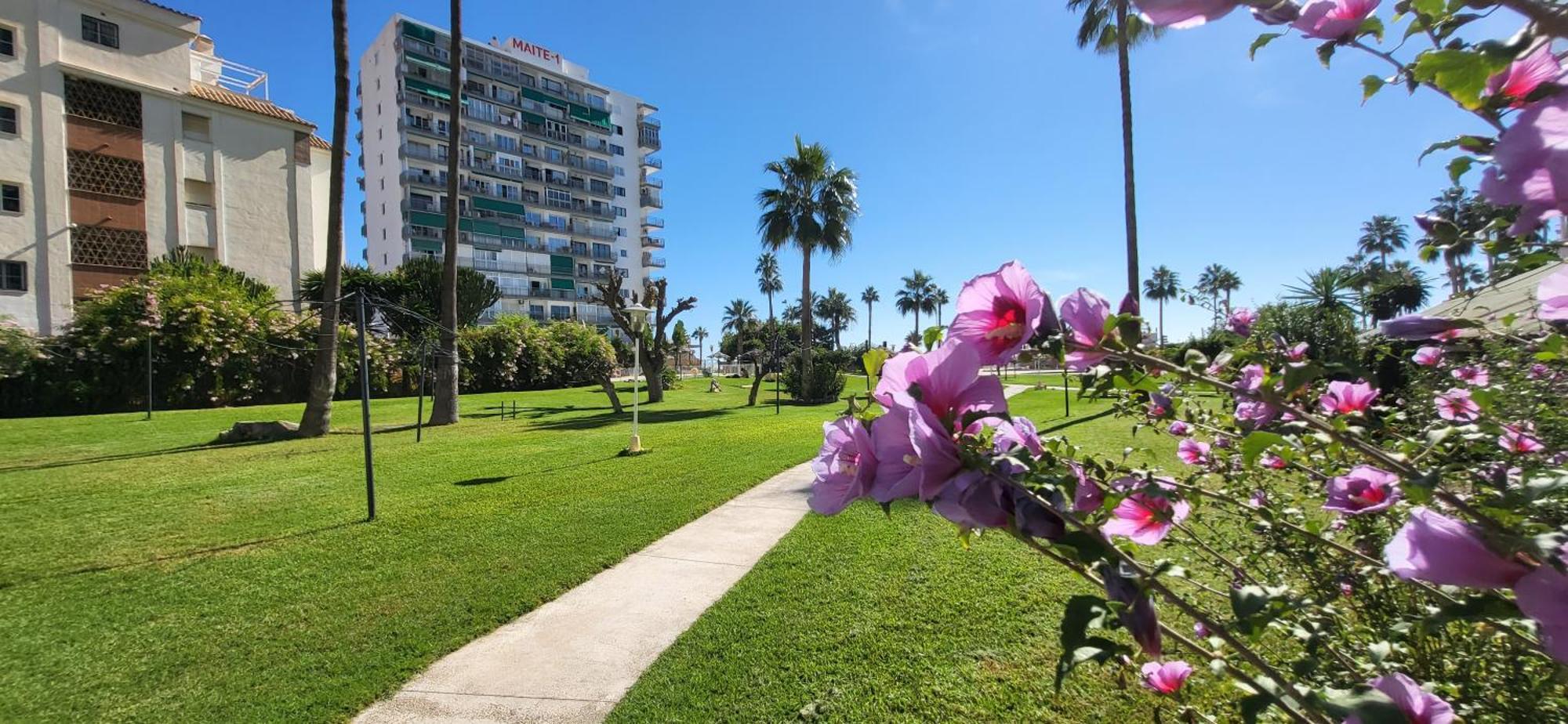 Estudio Rocio Apartment *