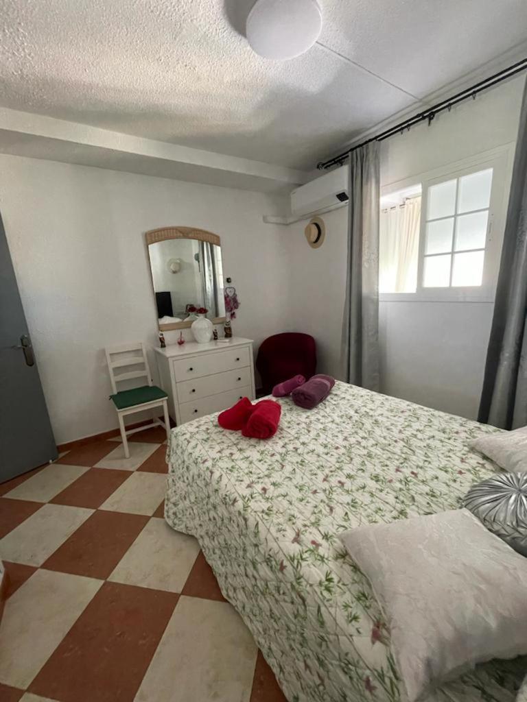 Entier Avec Vue Panoramique