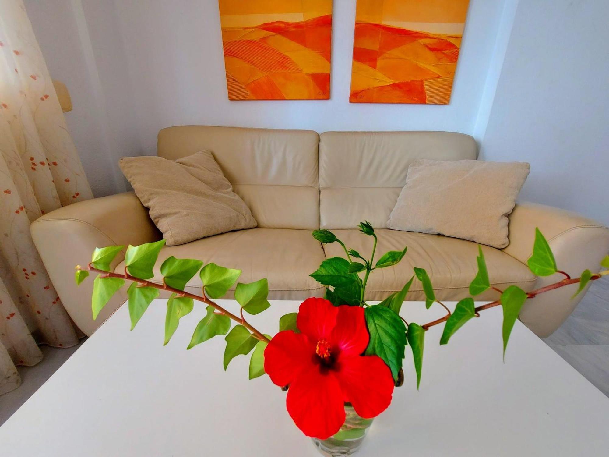 Pilar Lomas De Mena Apartamento