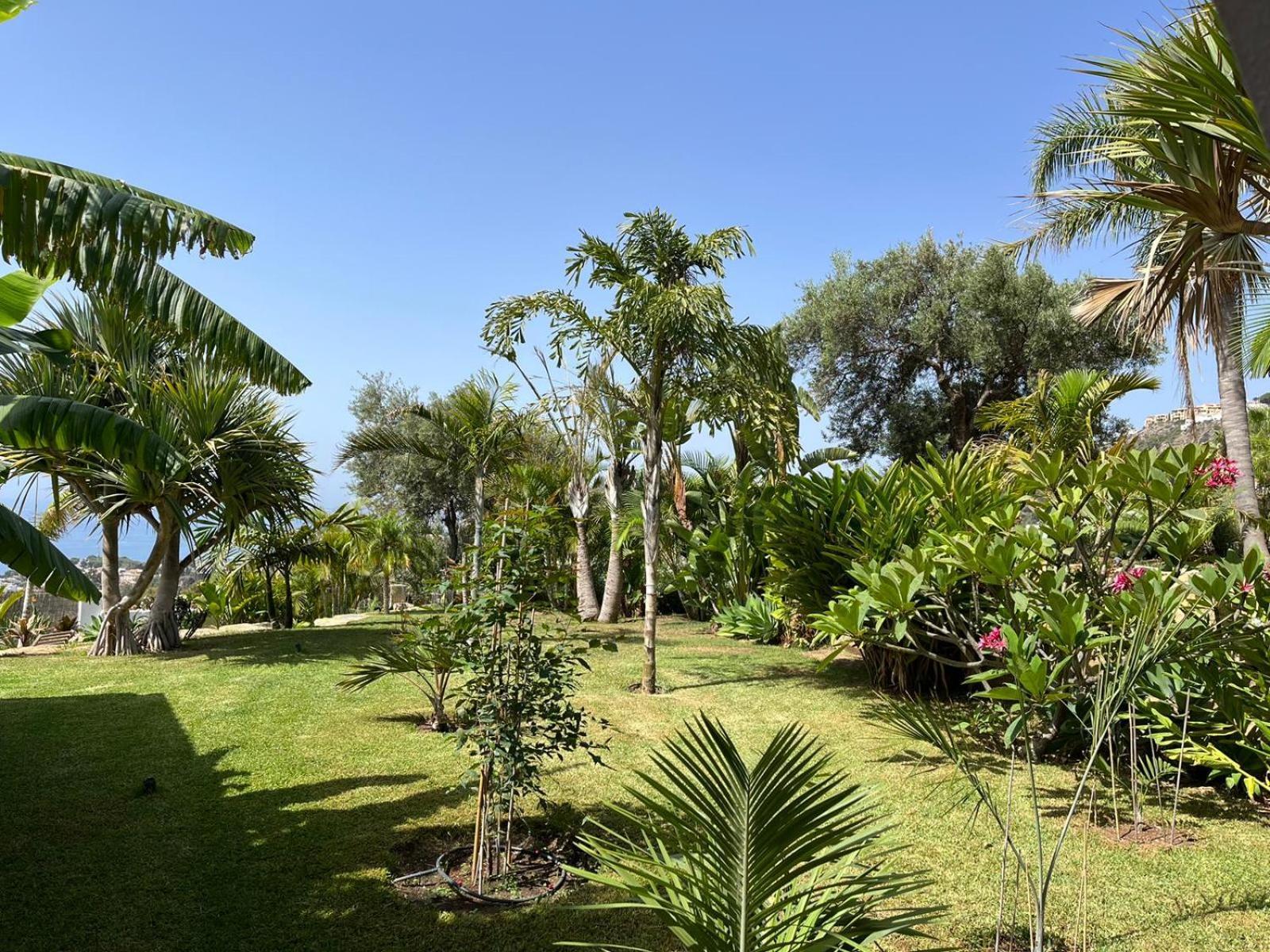 Bed & Breakfast In Eden Palm Guest house Benalmadena