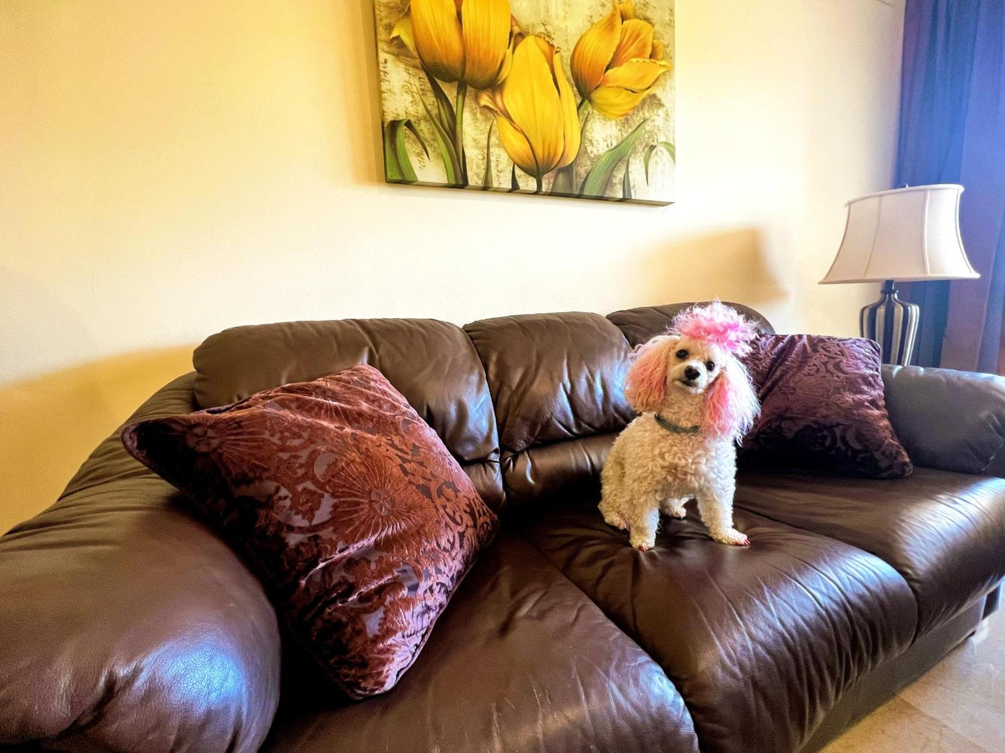 Apartment Beautiful With Pools, Playground And Paddle Tennis - Family Friendly And Near Vithas Hospital - Free Parking In Garage