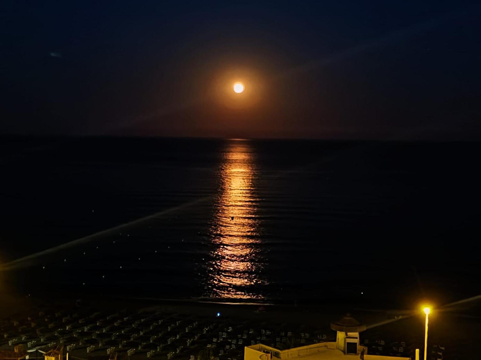 Apartment Carvajal Seaview