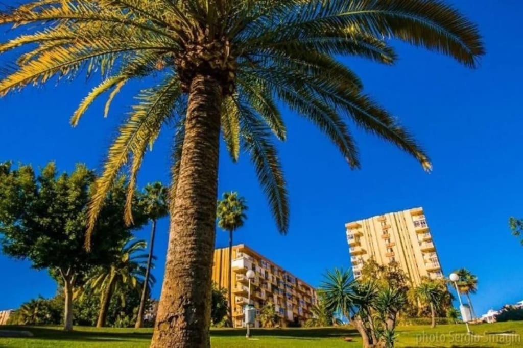 Hercules Nuevo Y Moderno Estudio Apartment *