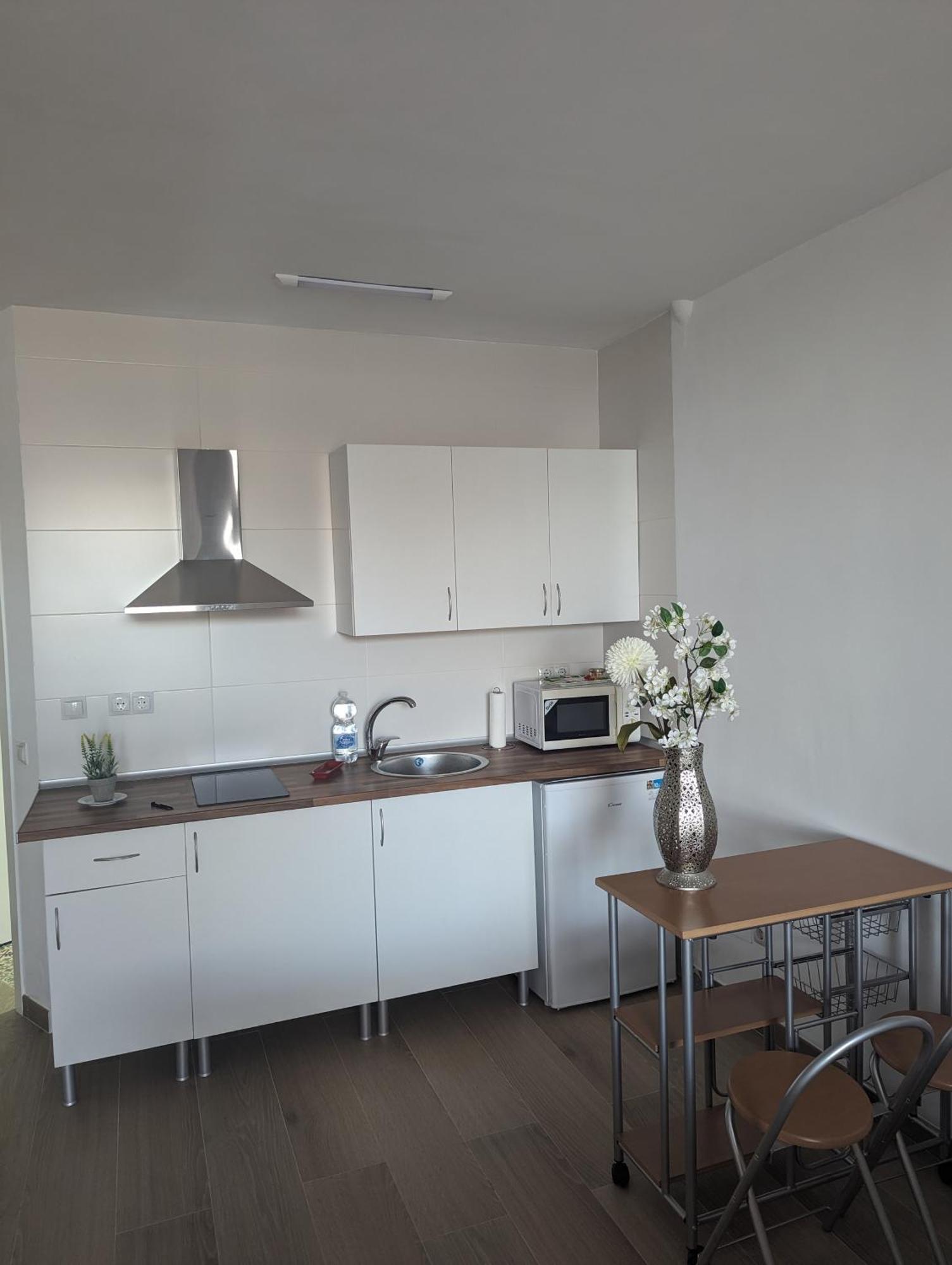 Apartment Biznaga House *