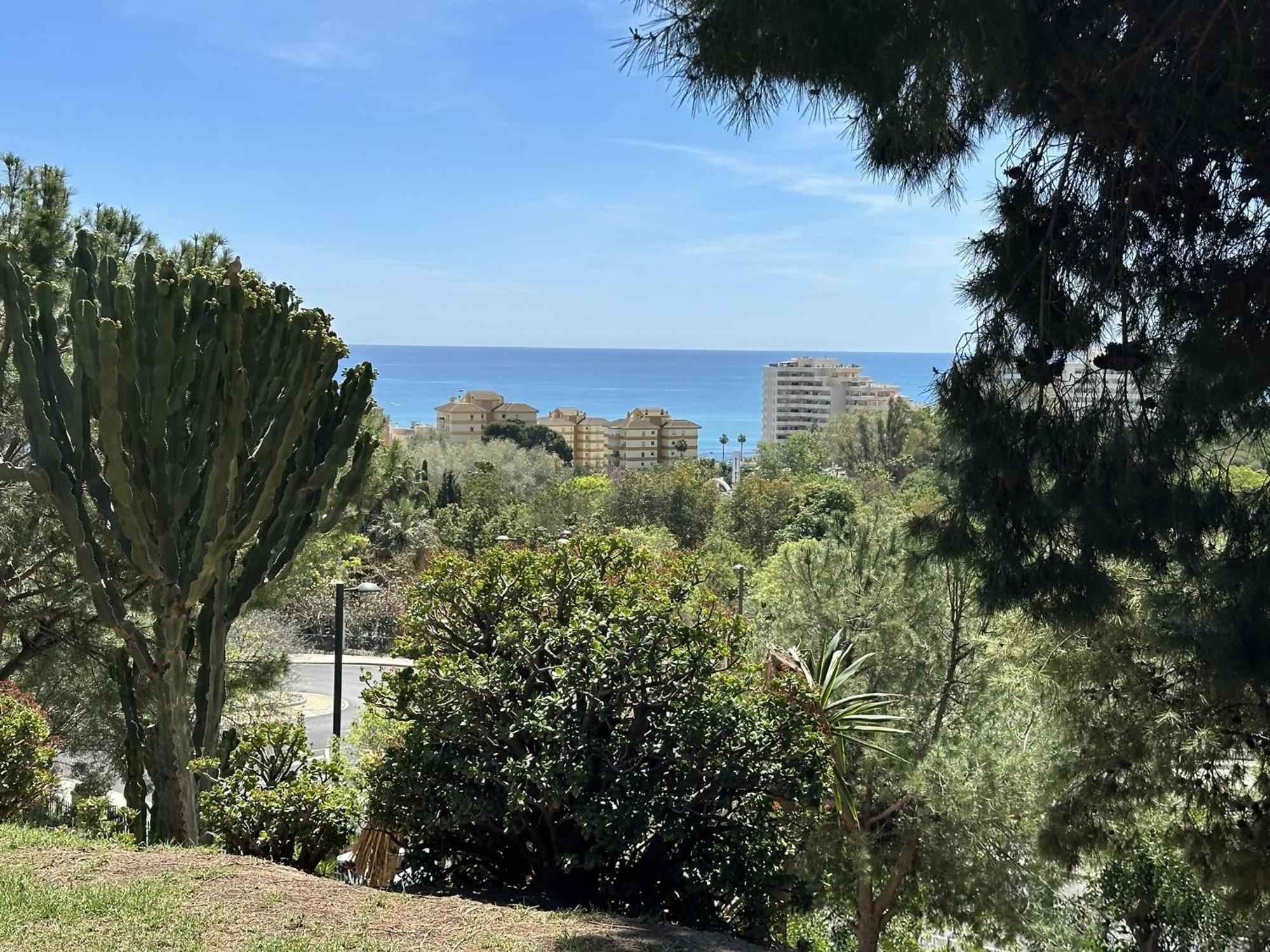 Apartment Estudio Centrico 800m De Playa En