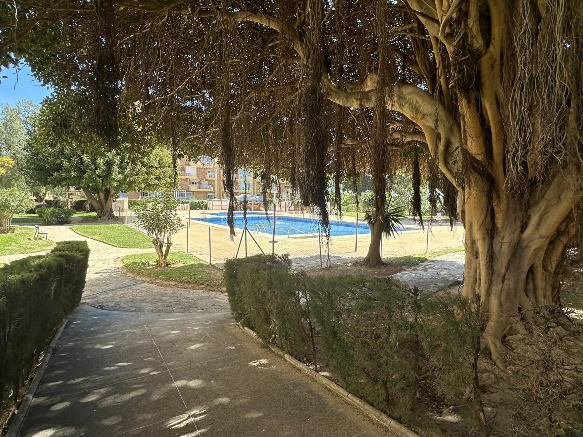 Apartment Estudio Centrico 800m De Playa En *