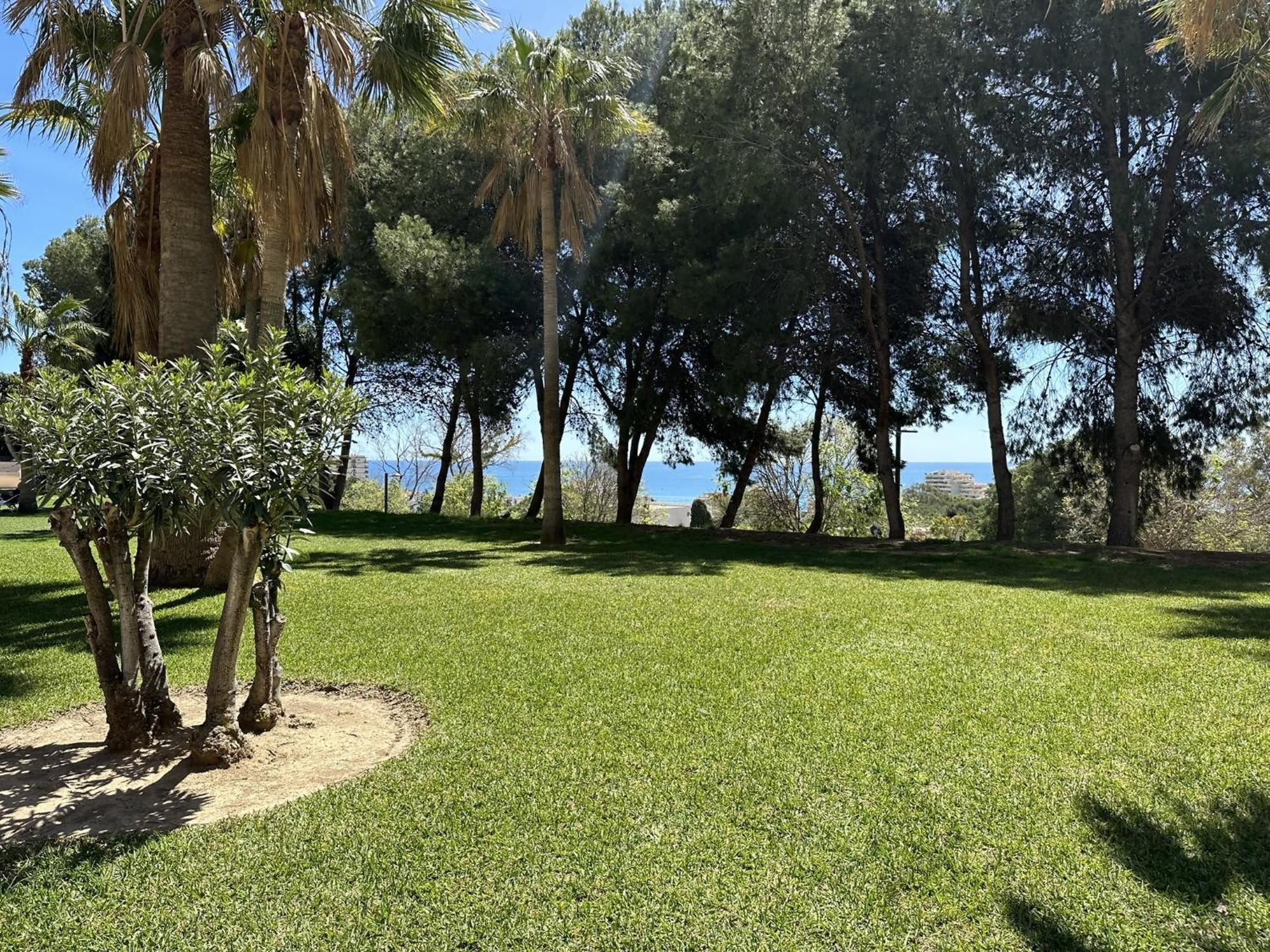 Estudio Centrico 800m De Playa En Apartment *