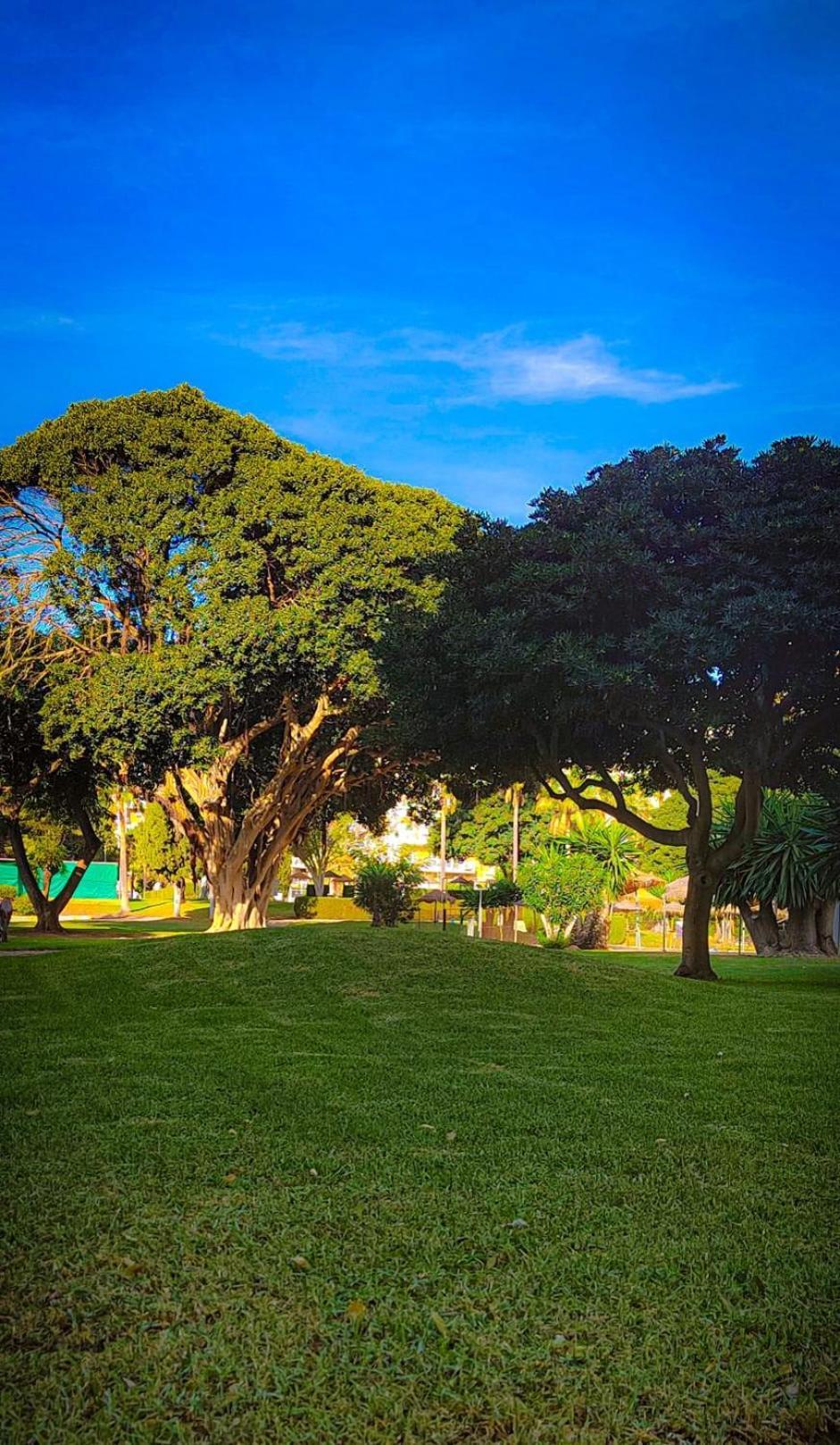 Kaizen. Terraza, Piscinas, Playa A 5 Minutos.