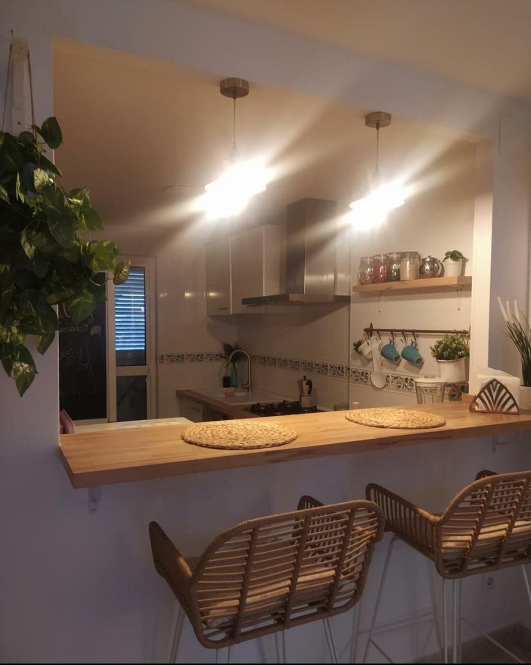 Apartment Palm