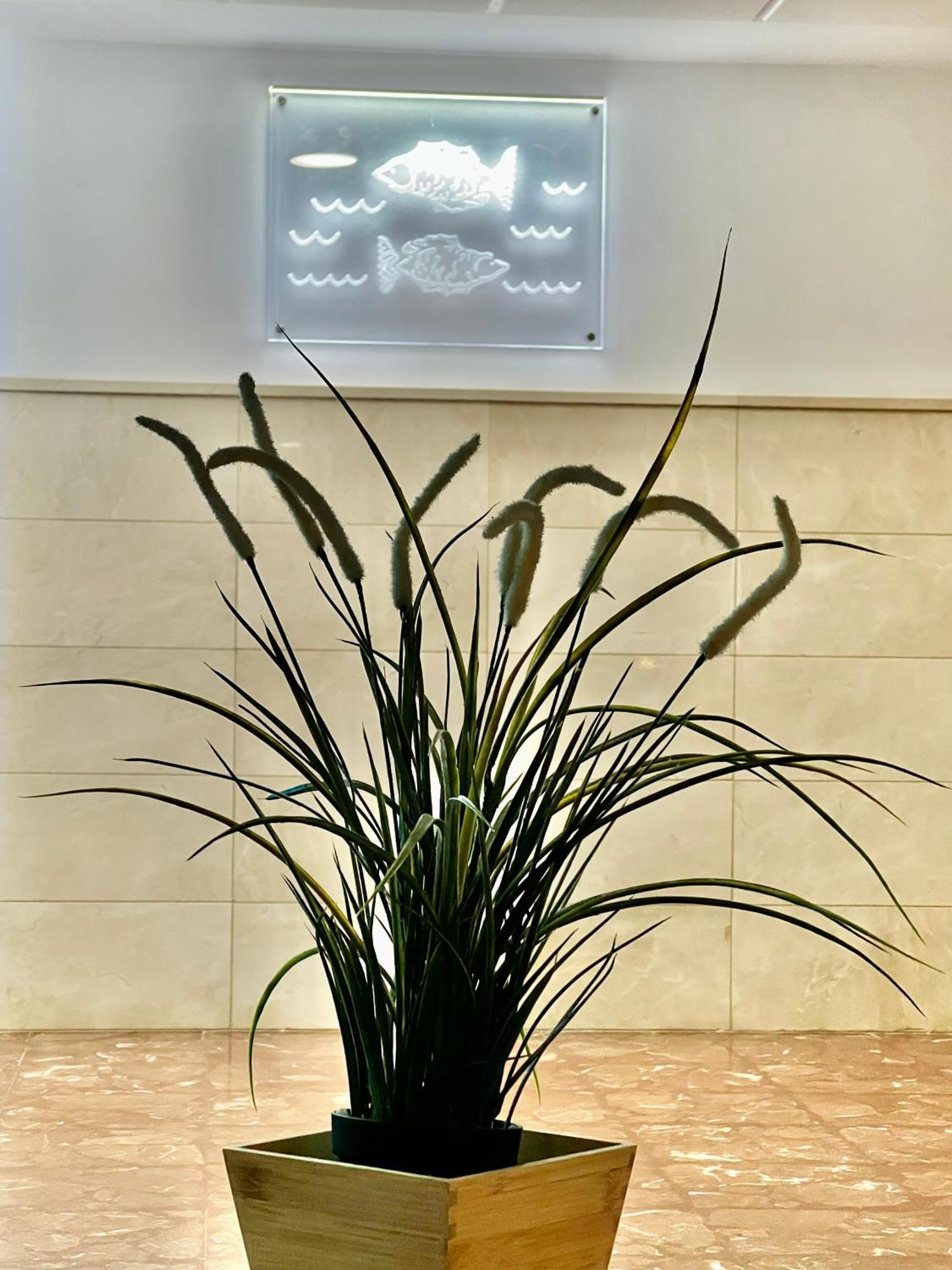 Apartment Great In The Piscis Building, Located In Coast