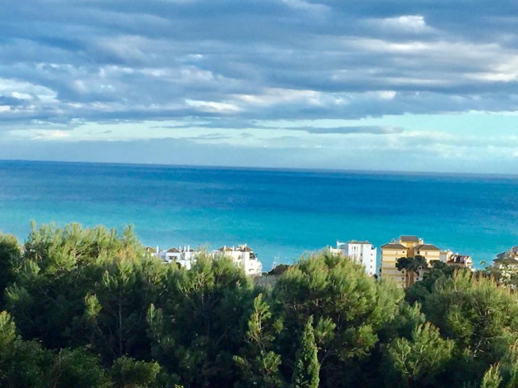 Apartment Agata