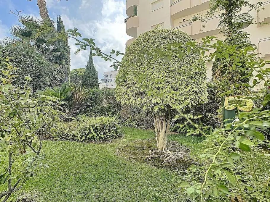Marina Apartment