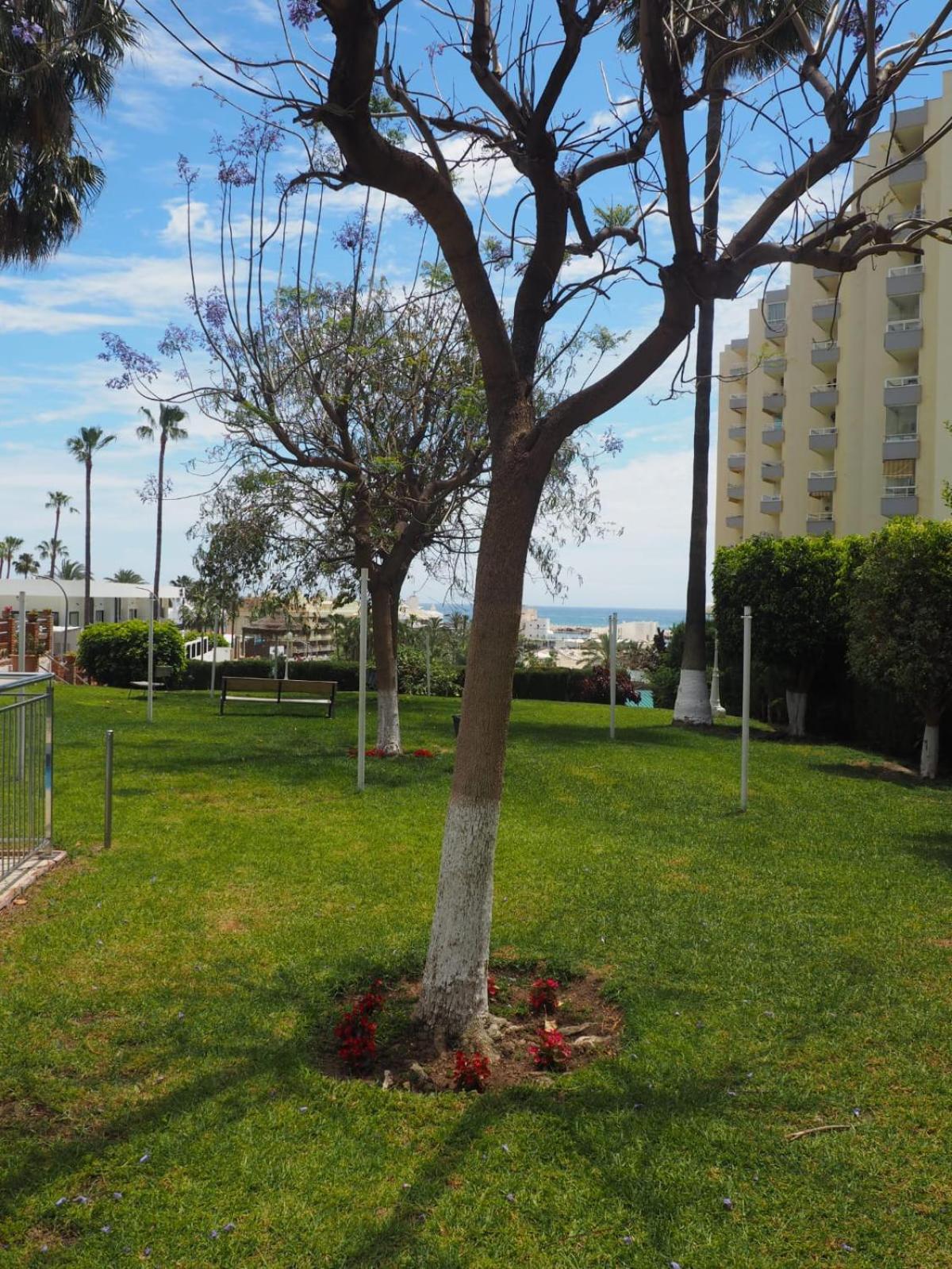 Appartement Puerto Marina-playa Malapesquera Benalmádena
