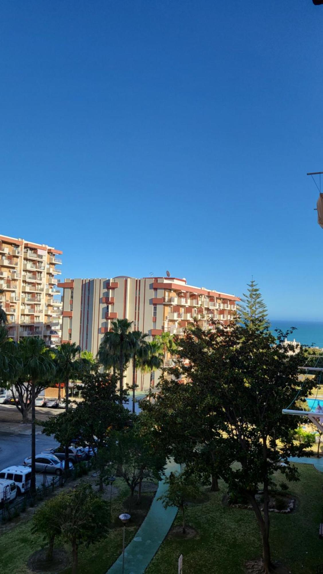 Apartment Minerva 242