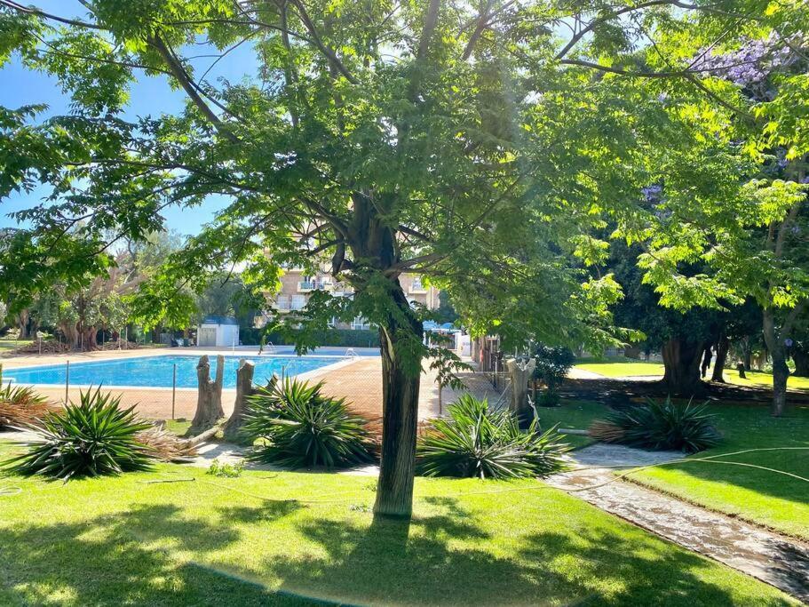 Apartment Style & Comfort In - Pool Available Seasonally Benalmadena