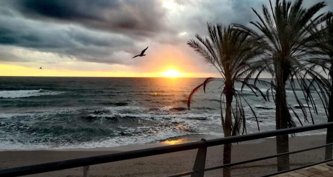 Holidays Sun Benalbeach Benalmadena