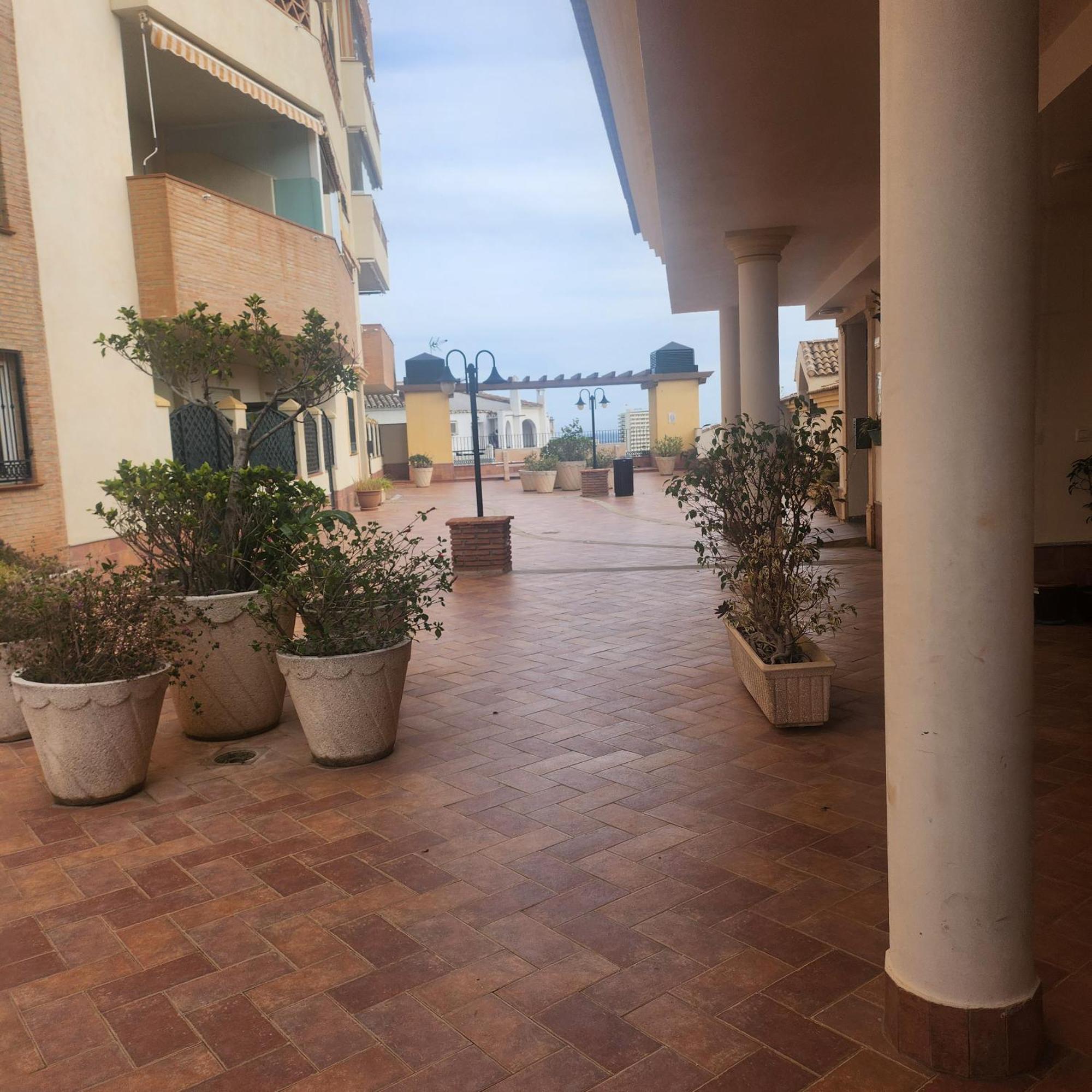 Apartment Palmeras De Erasa