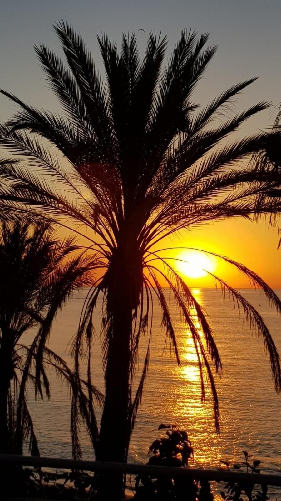 Aloha Vibe * Benalmadena