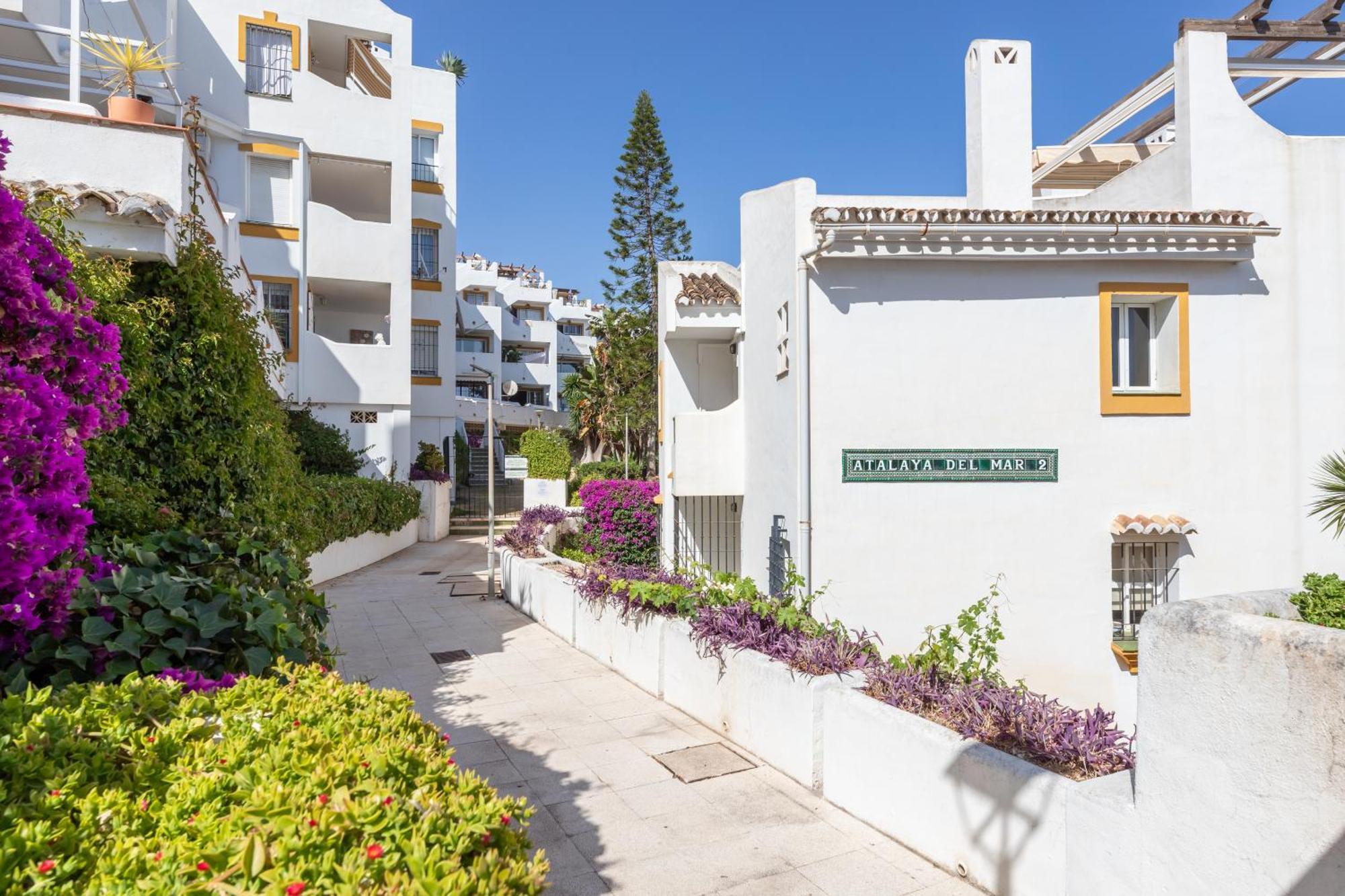 Apartment Vb Beachfront 2bdr Duplex With Bbq