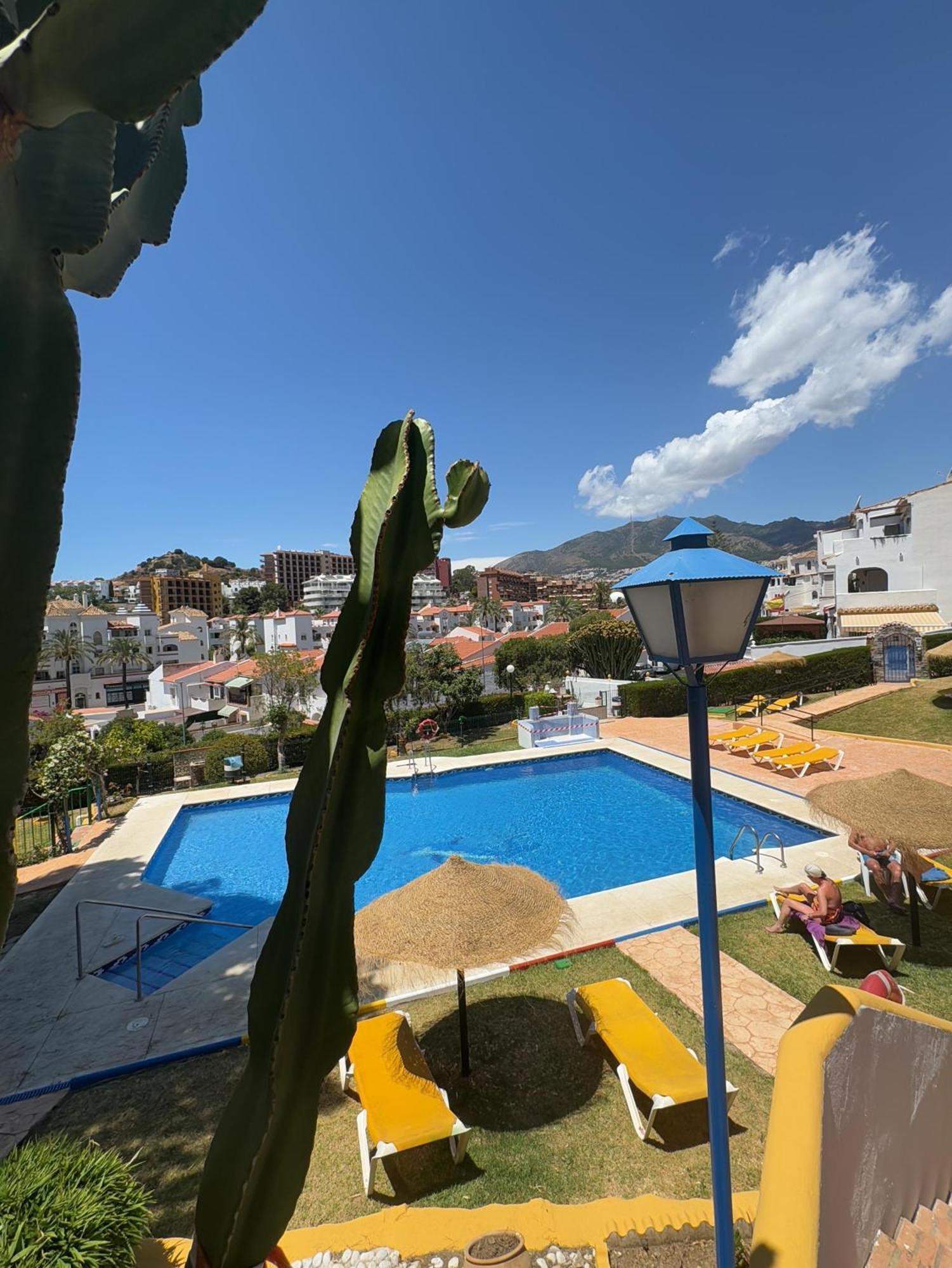 Summer Paradise In Appartement