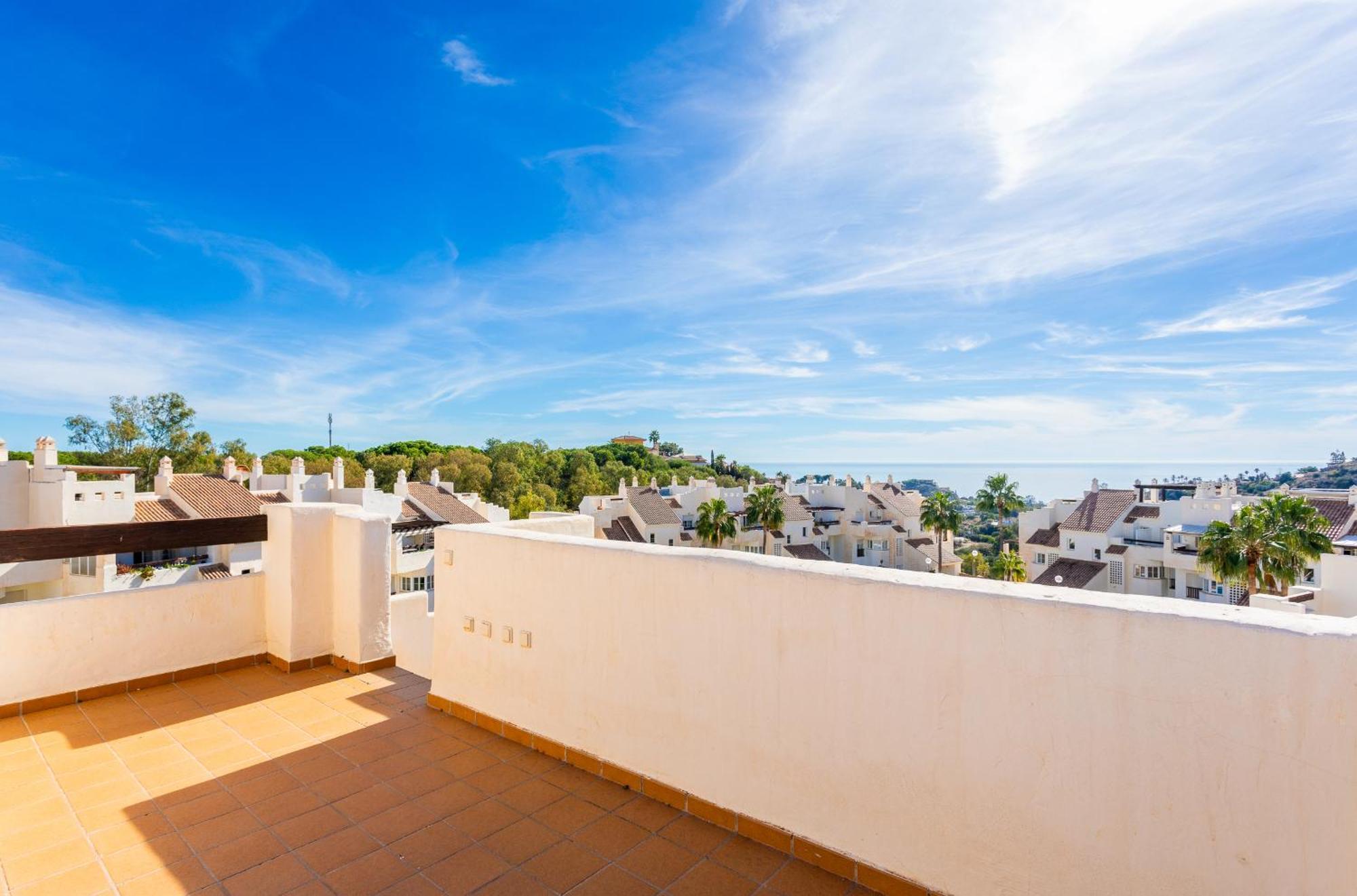 Penthouse Apartment