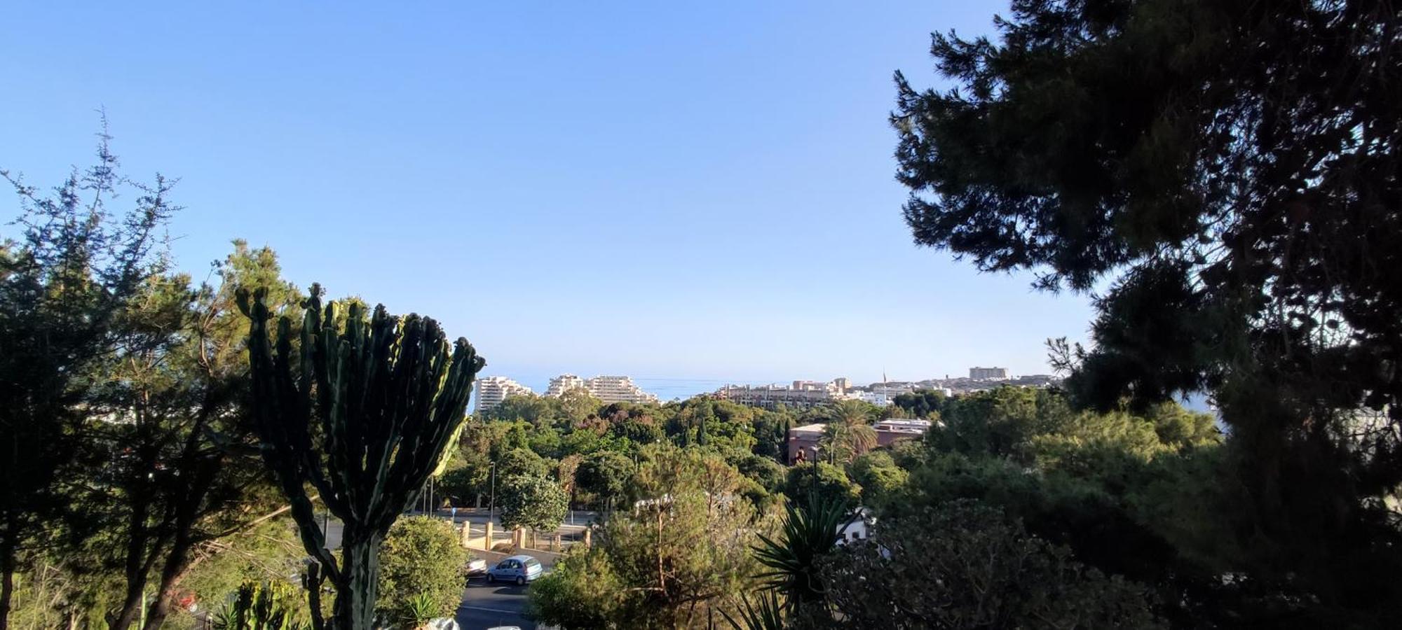 Aguila, Arroyo De La Miel, Benalmadena