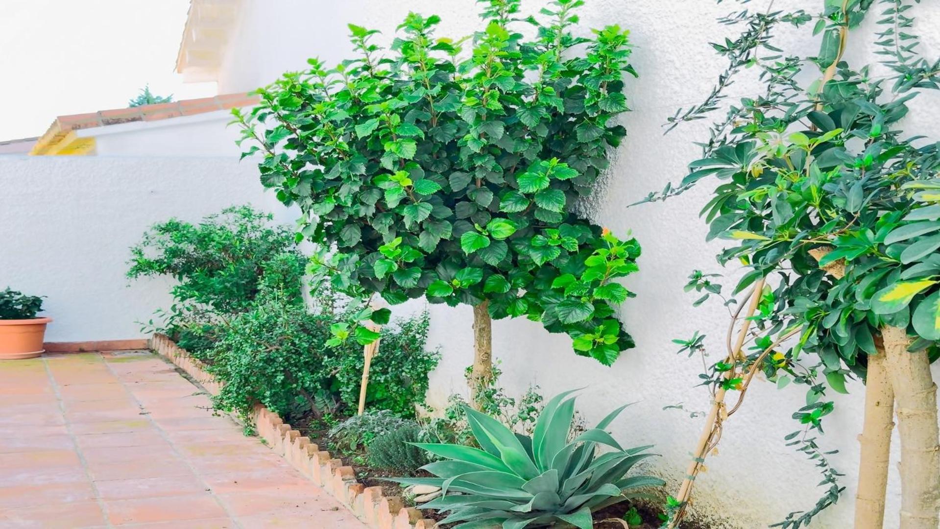 Vivienda Con Encanto Goya Nº4 Vakantiehuis
