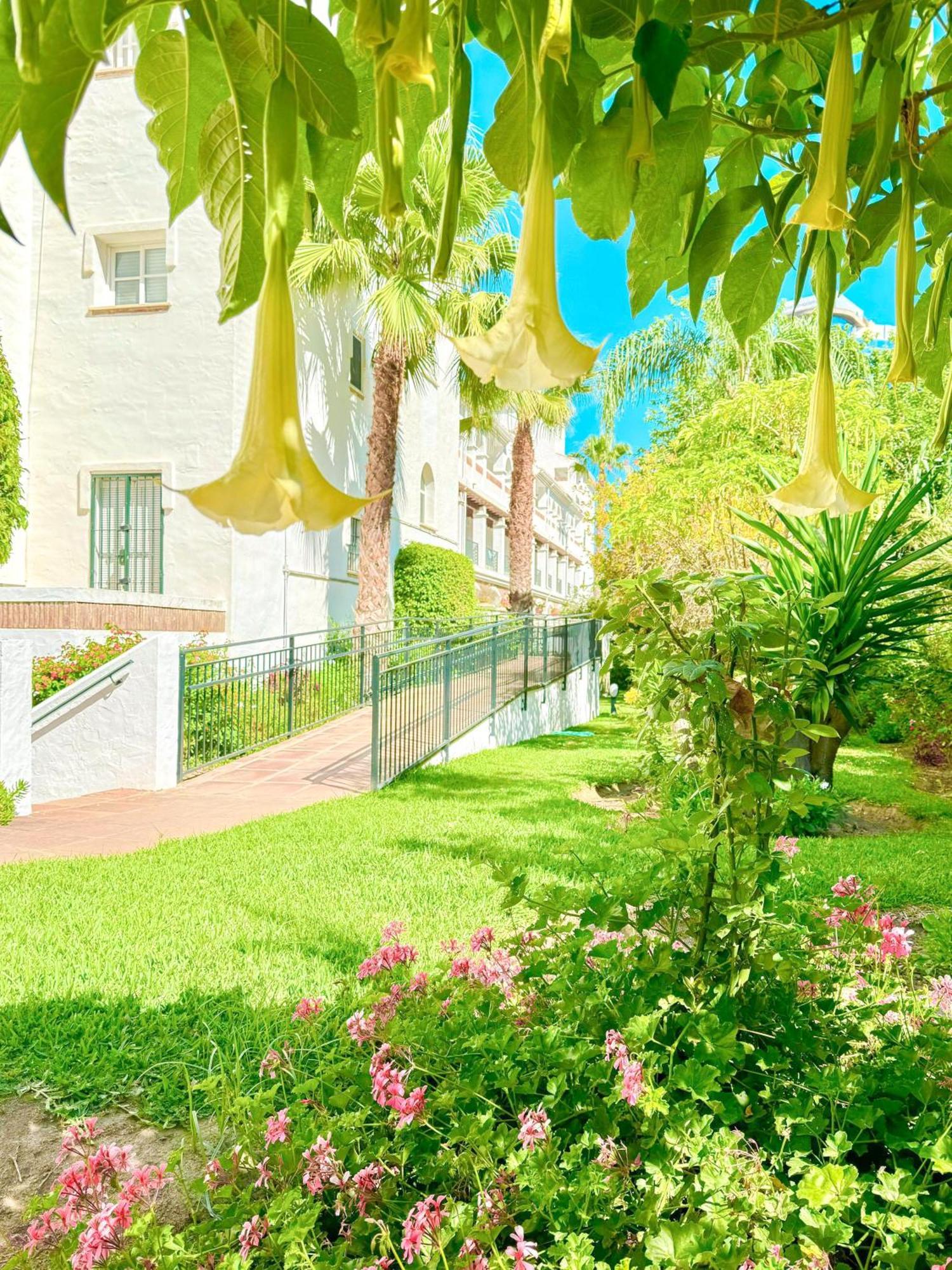 Wonderful Pool & Apartment