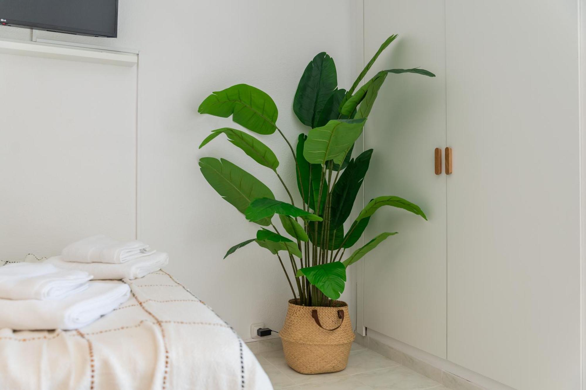 Ambar Apartment Benalmadena