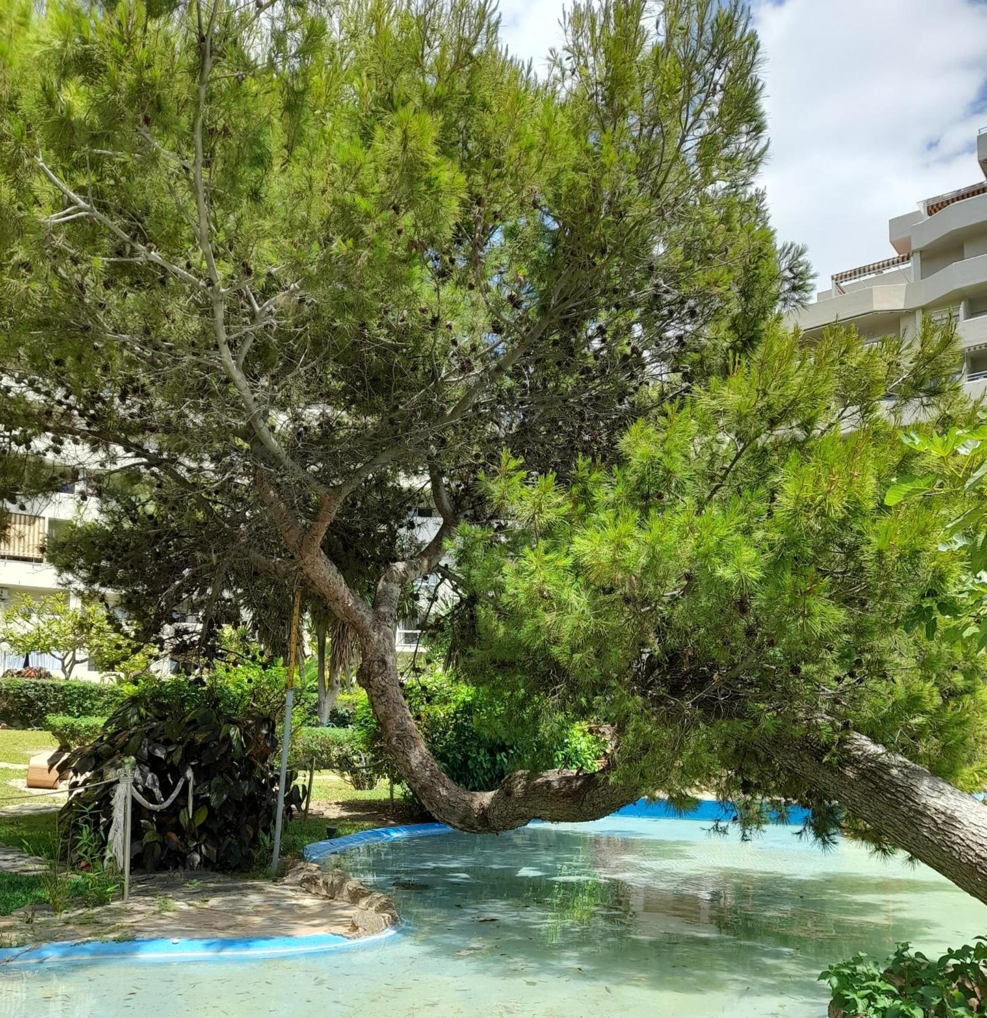 Benalbeach R&r * Benalmadena