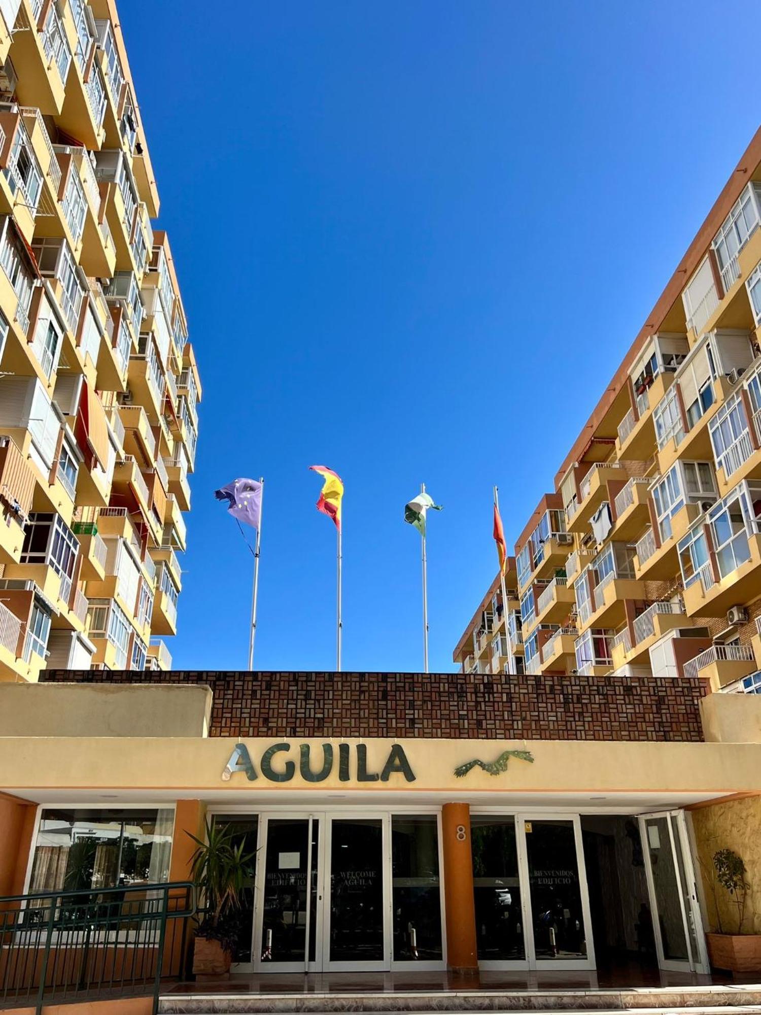 Aguila, Arroyo De La Miel, Benalmadena