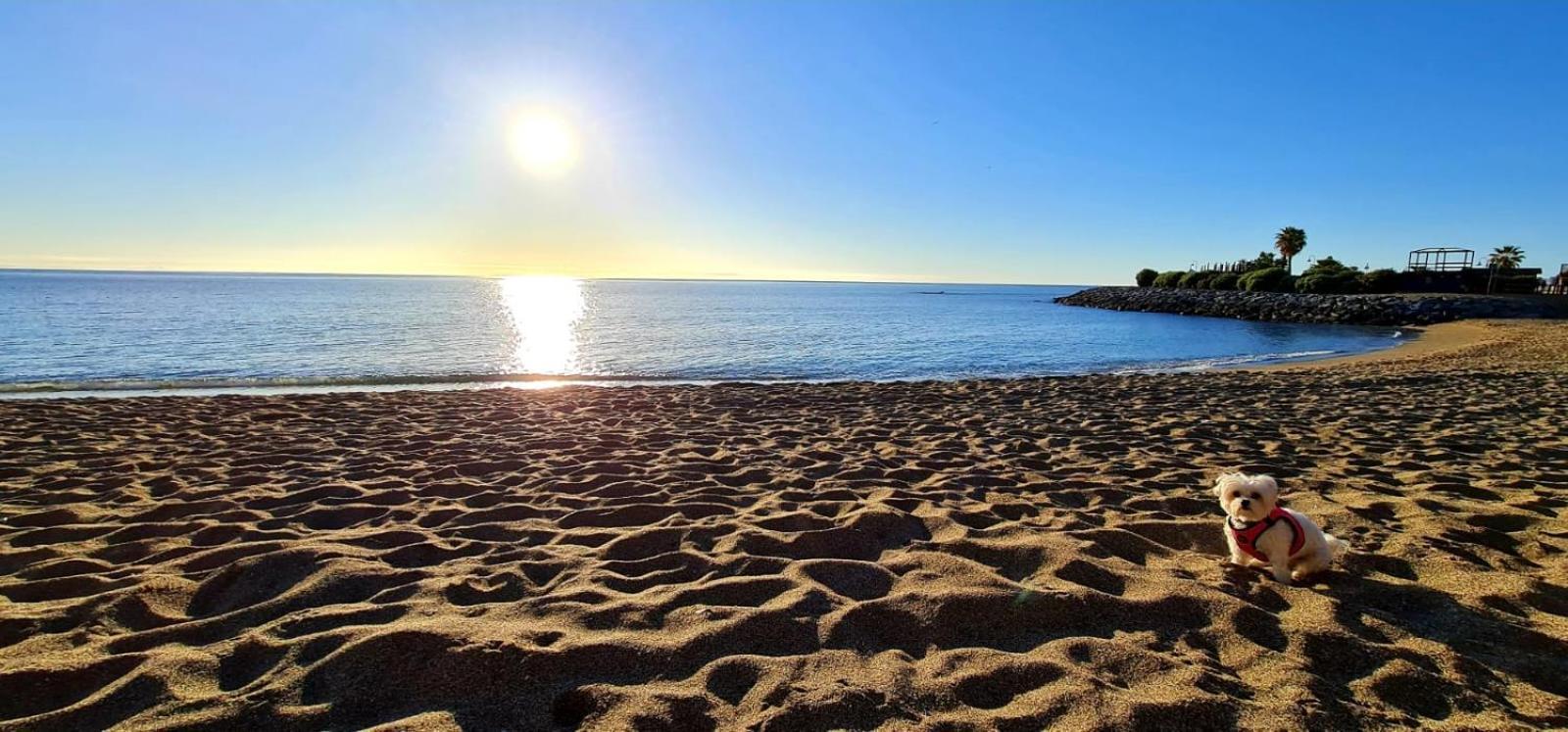 Apartamento Magic Benalbeach By Benalnova *