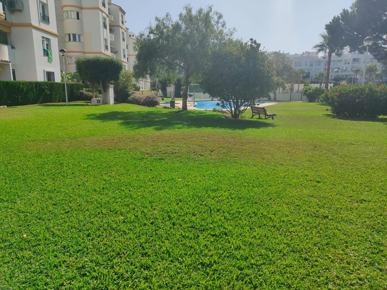 Fortunamar87 *