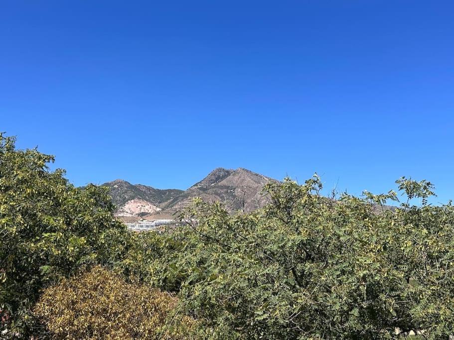 Appartement Hacienda Del Golf
