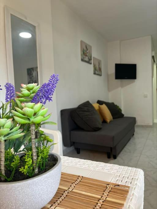 Brisas Mediterraneas Apartment *