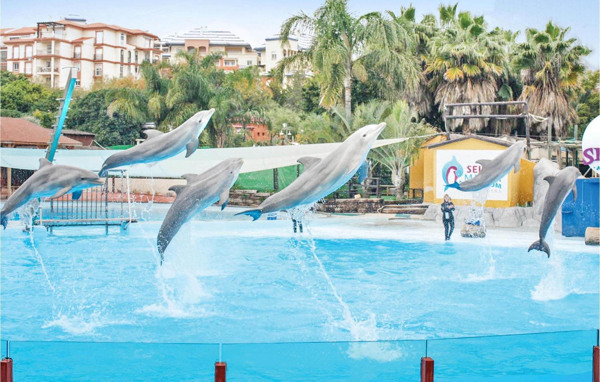 Holivista Holiday home Benalmadena