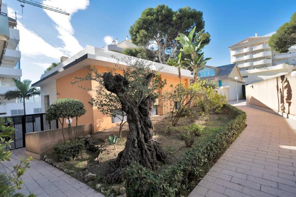 Con Terraza Y Piscina En Puerto Marina - Mistral * Benalmádena